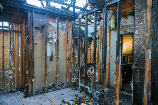 Professional Smoke Damage Removal technician working in Citrus Park, FL